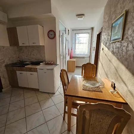 Apartament Aleks Banja Koviljača