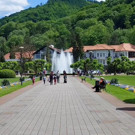 Aleks Banja Koviljača