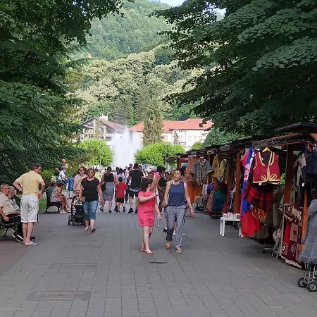 아파트 Aleks Banja Koviljača