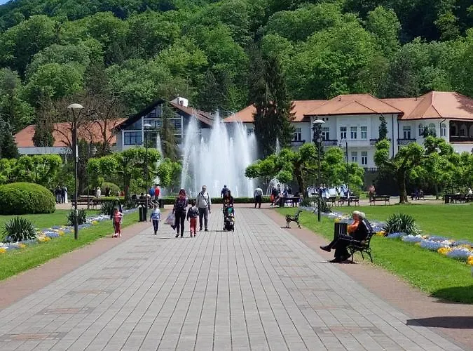 Aleks Banja Koviljača