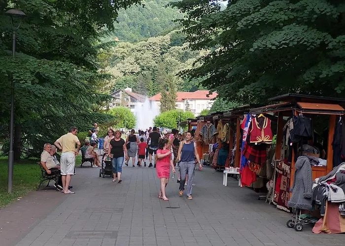 Apartament Aleks Banja Koviljača